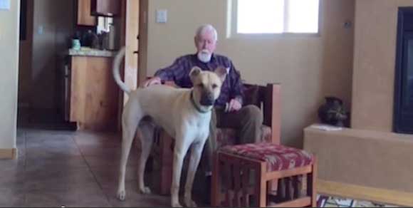 Malato di Alzheimer ritorna a parlare grazie al suo cane