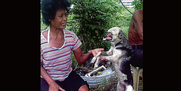 Filippine: salva due bimbe, cane perde la faccia