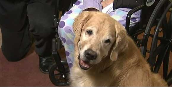 Anziana donna affetta da Parkinson salva grazie ai suoi cani