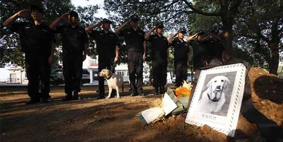 Cina, il funerale di un cane…