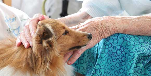 Casa di riposo per anziani apre le porte ai cani: è la prima in Italia