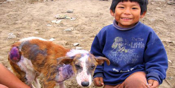 Lima: commuove la storia di Milo, il cane salvato da un bimbo povero e sordomuto