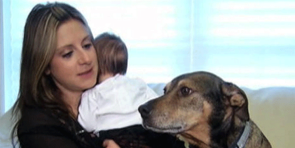 Portland, cane-eroe salva neonata che smette di respirare