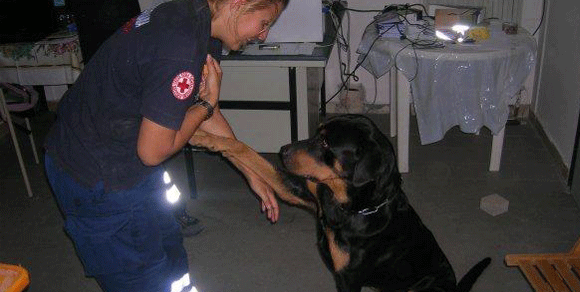 Genova, cane fa visita a padrona ricoverata in ospedale