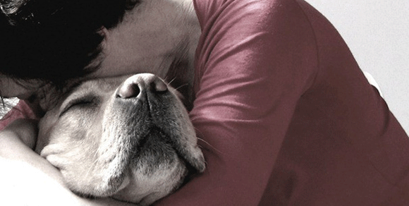 Cani: gli animali che entrano più in empatia con gli umani