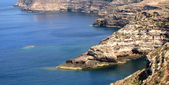 Lampedusa, al via centro per sterilizzazione randagi. E Baglioni adotta un cucciolo