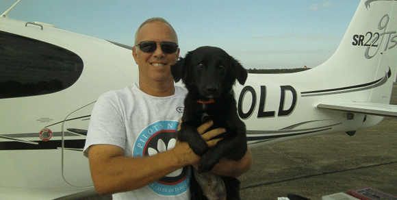 Florida, mille cani salvati da un pilota d’aereo