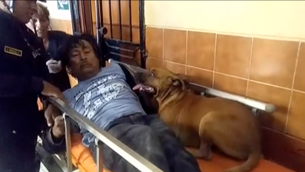 Mans-Best-Friends-Dogs-accompany-owner-to-emergency-room