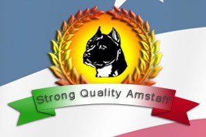 STRONG QUALITY AMSTAFF