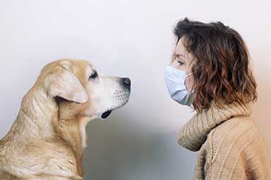 cane-non-contagia