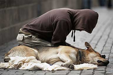 cane-senzatetto