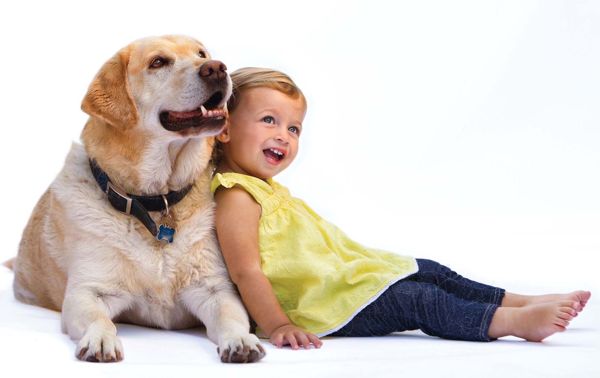 Allegy Living - Horizontal - dog and child - lab