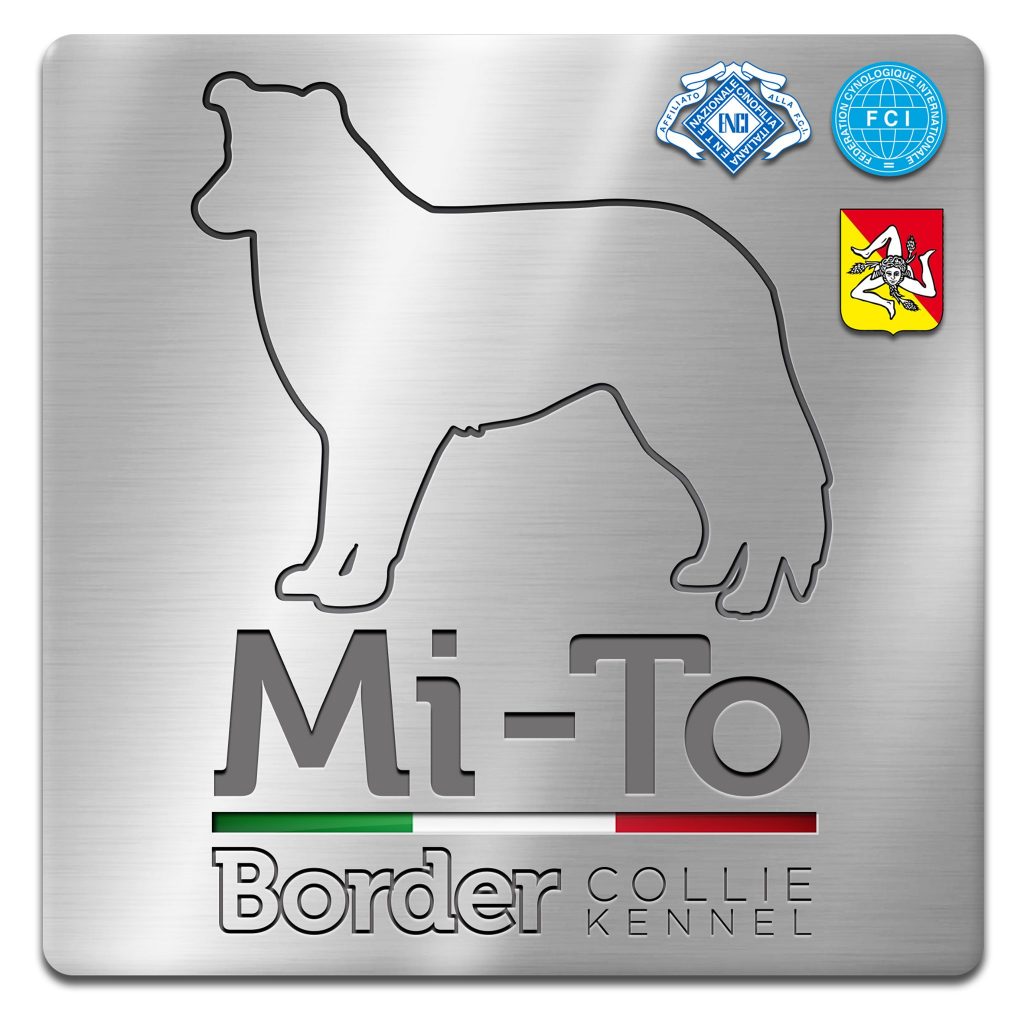 Mi-To  Border