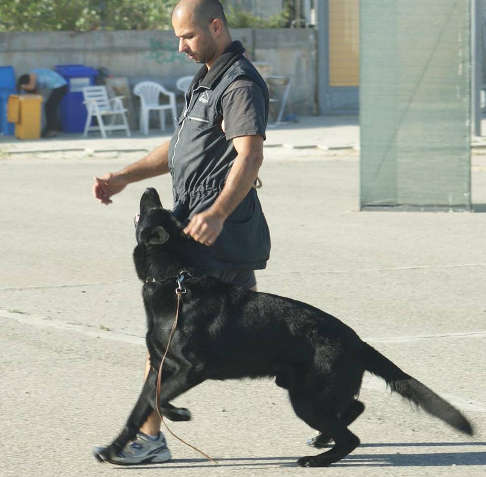 Centro di addestramento cani Sandro Meloni