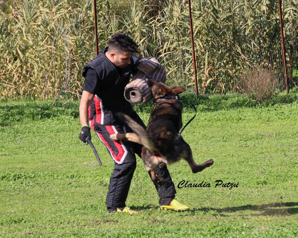 Centro di addestramento cani Sandro Meloni
