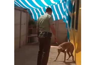 poliziotto-libera-cane