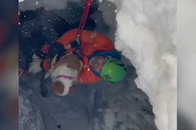 Scivola in un crepaccio sul Monte Rosa: cane salvato dal Soccorso alpino