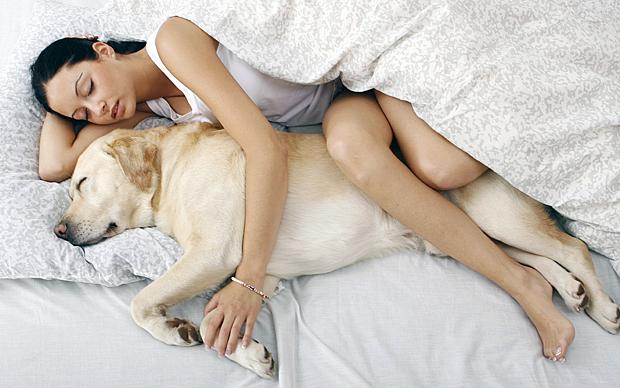 sleeping-with-pets-large