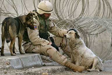 soldato-e-cani