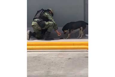 soldato-sfama-cane