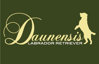 DAUNENSIS LABRADORS