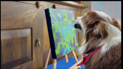 Ivy, il cane pittore che devolve i suoi ricavati in beneficenza