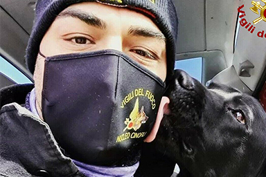 Scatta la raccolta fondi per Tyson, il cane soccorritore dei Vigili del fuoco: verrà salvato