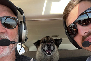 Cane rubato anni fa vola per 600 miglia e si ricongiunge con la sua vecchia famiglia
