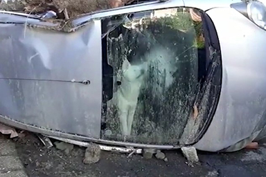 Il proprietario viene ucciso da frana, il cane rimane tre giorni intrappolato in auto