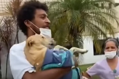 La storia di Mel, il cane che per settimane ha atteso il proprietario davanti all'ospedale