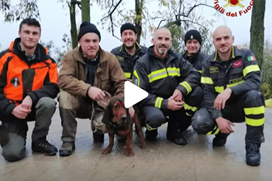 cane salvato dai vigili del fuoco