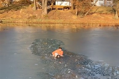 Cane cade in lago ghiacciato, uomo lo salva sfidando l'acqua gelata