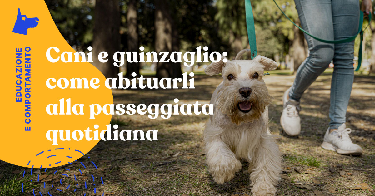 Come abituare il cane al guinzaglio 7 consigli