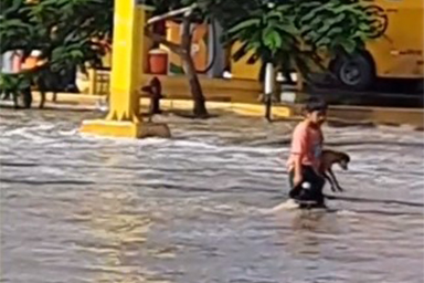 Salva cagnolino bloccato per l'alluvione: il gesto eroico di un bambino