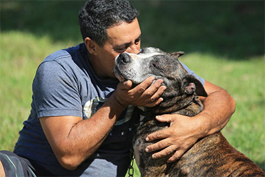 Tigrão, cane maltrattato aiuto uomo a combattere la depressione
