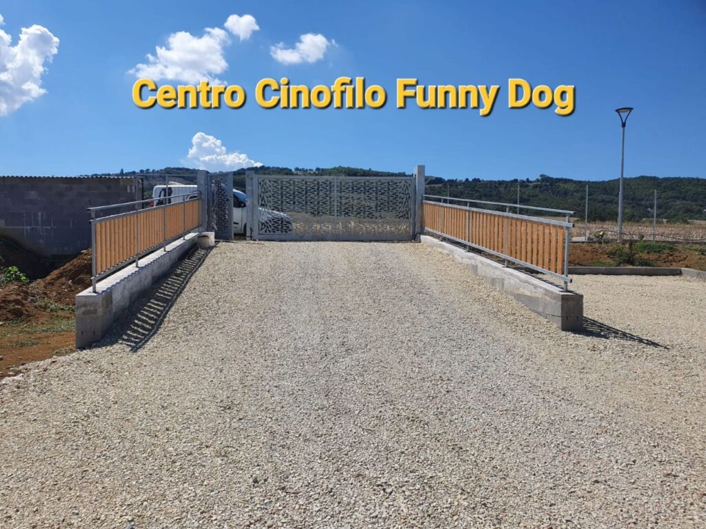 Centro Addestramento Cani - Foligno - Perugia - Umbria - Funny Dog