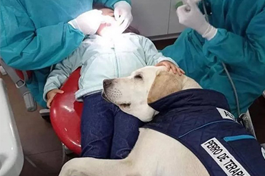 dentista con il cane