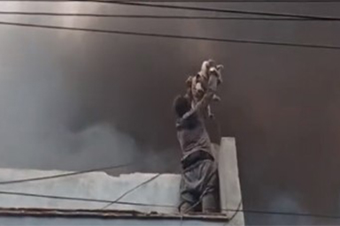 Cani intrappolati su un edificio in fiamme: uomo rischia la vita per salvarli