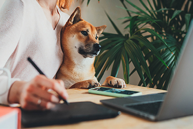 Verona, cani in ufficio per combattere lo stress e aumentare la produttività
