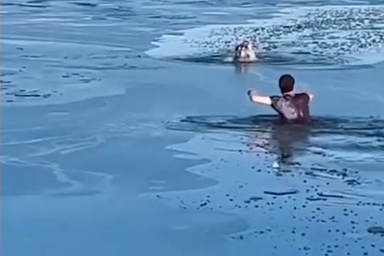 Cane cade in lago ghiacciato, uomo sfida le basse temperature per salvarlo