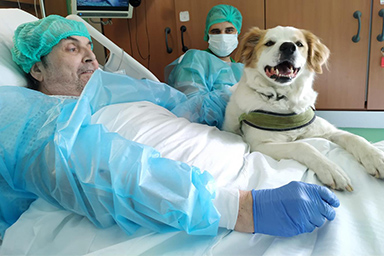 “Vorrei rivedere Buk”: ricoverato in ospedale da quasi un anno, riabbraccia il suo cane