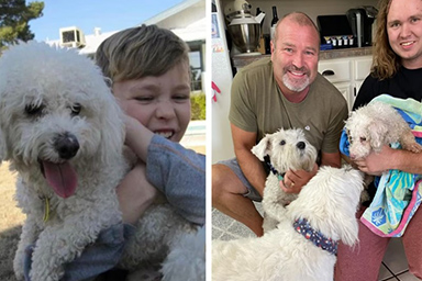 Una famiglia riabbraccia il suo cane dopo 12 anni: la storia di Minion