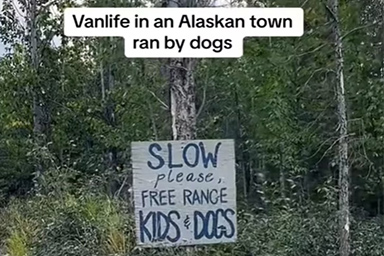 In Alaska c’è una città gestita dai cani: ecco McCarthy