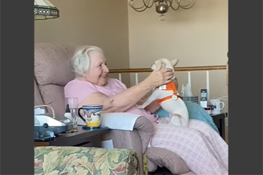 Cane anziano, che nessuno voleva, adottato da donna di 100 anni