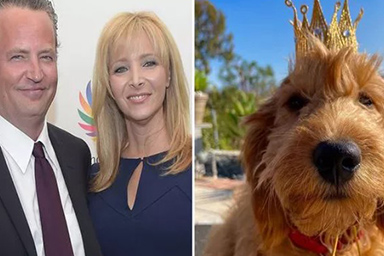 Morte Matthew Perry, la collega Lisa Kudrow chiede di adottare il suo cane