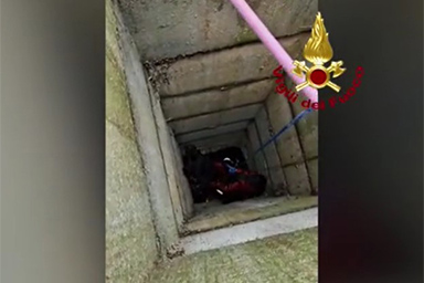 Precipita in un pozzo profondo 10 metri: il cane Giacomino salvato dai Vigili del fuoco