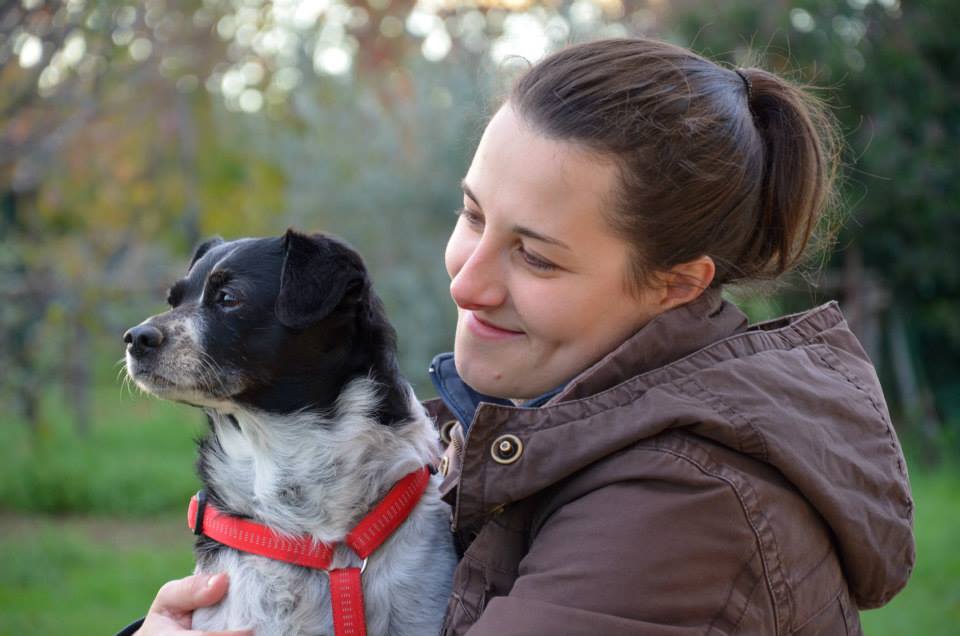 LiberInsieme a sei zampe