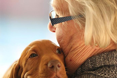 Uno studio giapponese: “I cani riducono il rischio di demenza senile”