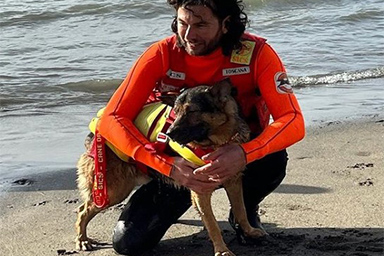 Marley, il primo cane cieco in Italia a diventare soccorritore