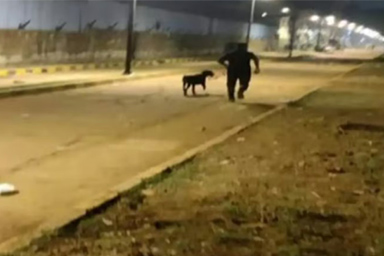 Un bambino di 6 anni viene rapito: il cane poliziotto Leo lo ritrova in 90 minuti